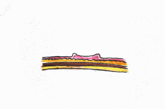 ���R�ȑ咰�|���[�v