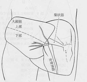 �V����p�̂��߂̑�a�؂̐_�o�x�z�B