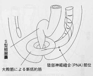 �V����p�̃C���[�W�B